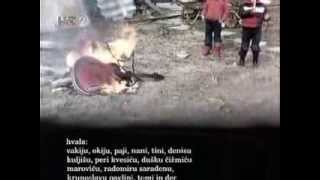 Kad Miki kaže da se boji ... RAVNO DO DNA