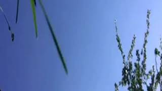 DĚTI TRÁVY - Seru na klíšťata