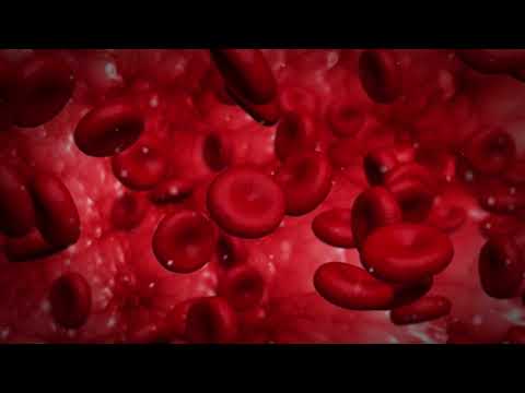 SCP-016: Sentient Micro Organism