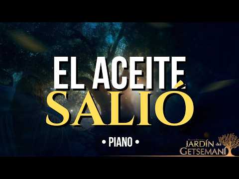 Solo quien tiene raíz (Piano + Fondo) Pr. Alessandro Fernandes