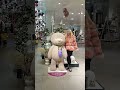 Cute bear display at John Lewis