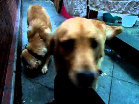 Becca & Summer no Inverno