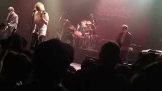 The Charlatans, In the Tall Grass live Tokyo 2015