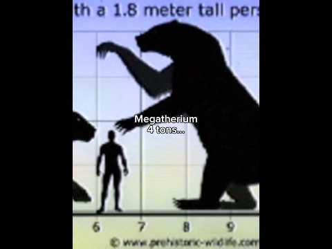 Modern animals compared to their giant extinct relatives #prehistoric #titanoboa #extinct