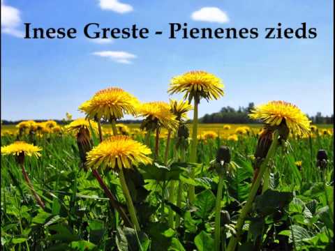 Inese Greste - Pienenes zieds