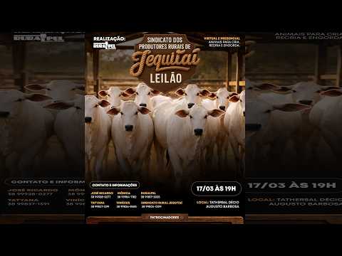 Leilão do Sindicato Rural de Jequitaí