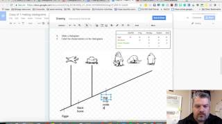 Making a Cladogram