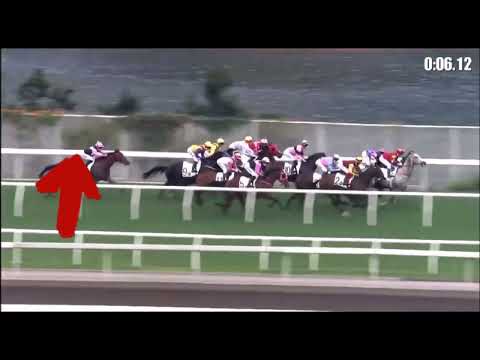 🐴下次跟進馬匹: 🦓美麗在線    💰上次賽事日期: 12/02/2022 🏆 第三班 - 1400米 沙田 (1:22.25)分段時間 : 13.67 22.59 22.89 23.10