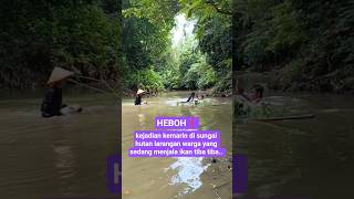 Download lagu kejadian kemarin di sungai hutan larangan warga yang sedang menjala ikan tiba tiba #shortsviral mp3 Download lagu kejadian kemarin di sungai hutan larangan warga yang sedang menjala ikan tiba tiba #shortsviral mp3
