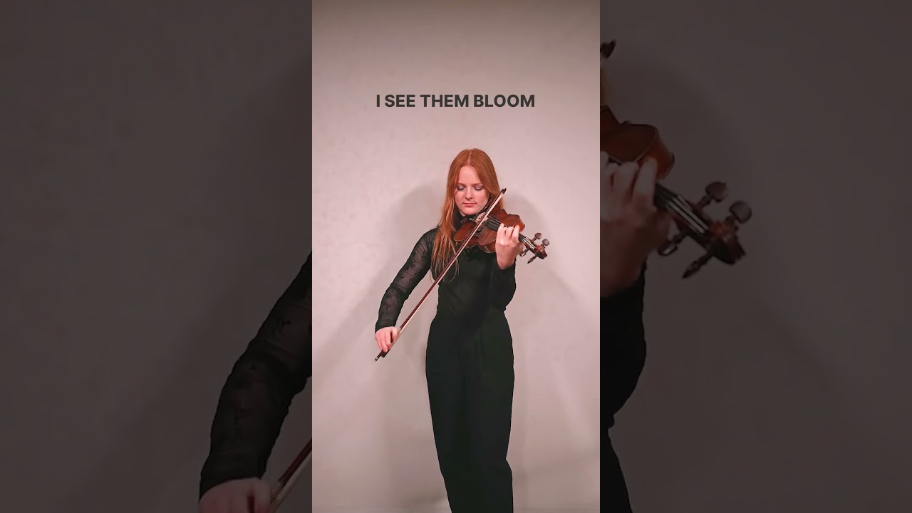 Promotional video thumbnail 5 for Elegant Violin Music