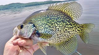 Fishing for BIG Crappie on This GIANT body of water!