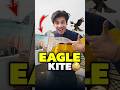 Eagle Wali Patang Mini Vlog Shorts Minivlog Ashortaday Vlog Tranding Cats Cat