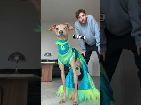 He ate at every angle #dog #cute #shorts