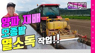 양파 모종밭 열소독 트랙터 불스휴립기 파종기