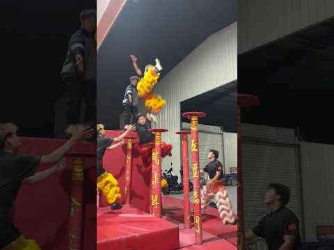 醒狮梅花桩训练摔倒瞬间，台上一分钟，台下十年功 #liondance #舞狮 #醒狮文化