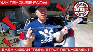 How To Replace Rear Liftgate Trunk Struts On A Nissan Rogue DIY!
