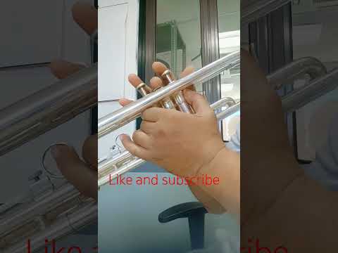 "MODERATO" All through the Night, Played on Bb #trumpet #viral #trending #band #musical #instrument