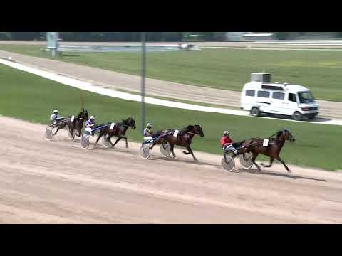 2019.06.08. 03. futam - DR. VECSEKLŐY JÓZSEF EMLÉKVERSENY - I. FUTAM