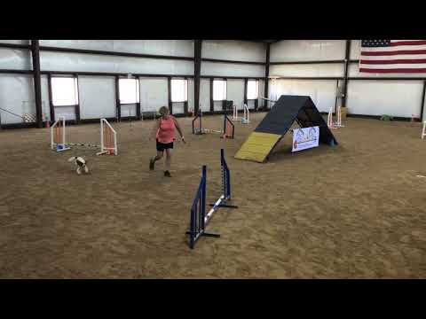 Hooligan - Standard - ST/P1 50 X 60 Event #112234 Course 1 of 2