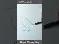 How to draw a bird easy, Magpie drawing