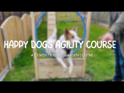 Happy Dogs Agility Course🐾