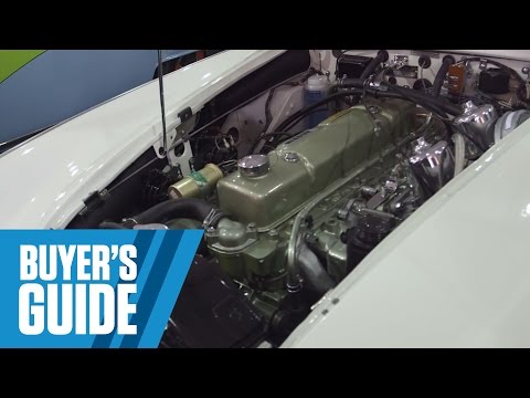 Austin-Healey 3000 | Buyer's Guide