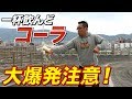 【大爆発！】一杯飲んどコーラ爆発の瞬間！【ビーレジェンド鍵谷TV】