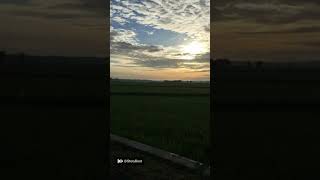Download lagu Story wa pemandangan sawah pedesaan gowes bike ngopi pagi mp3