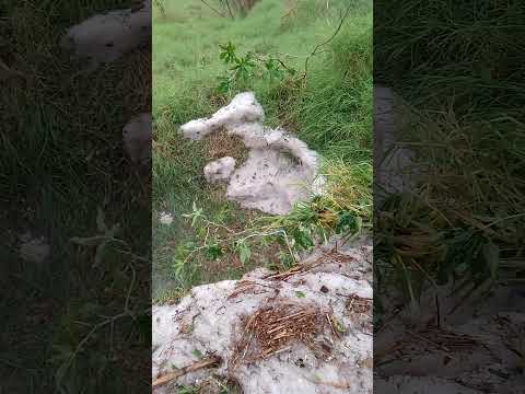 Caiu muito granizo pela manhã em Rodeio bonito RS ❄️⛈️💦