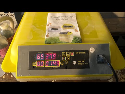 Automatic egg incubator operating instructions, and duck eggs