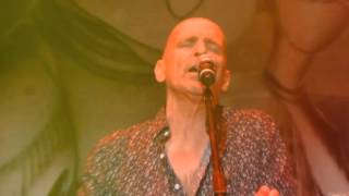 SAGA in Hamburg Spring 2015 "Someone Should"