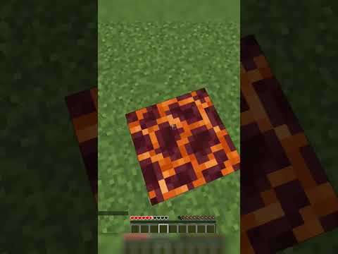 Minecraft Logic Roast!