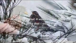 " Snowbird "   -   ( Anne Murray )