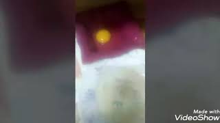 اسهل واسرع طريقه لعمل فراخ بانيه والقرمشه والطعم حكايه