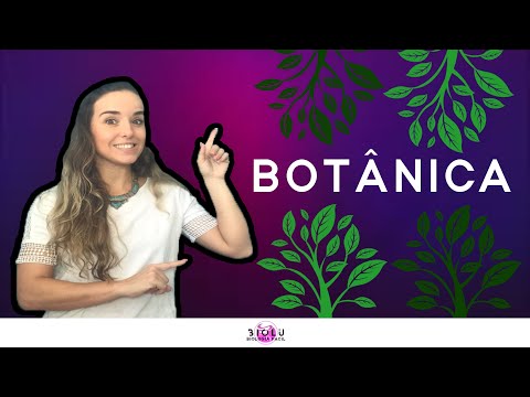 INTRODUÇÃO À BOTÂNICA | Prof. Louise Medeiros