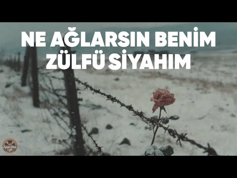 Ne Ağlarsın Benim Zülfü Siyahım - Anatolian Lab