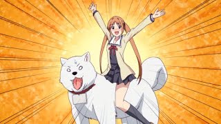 Aho Girl OP / Angela - Zenryoku☆Summer!