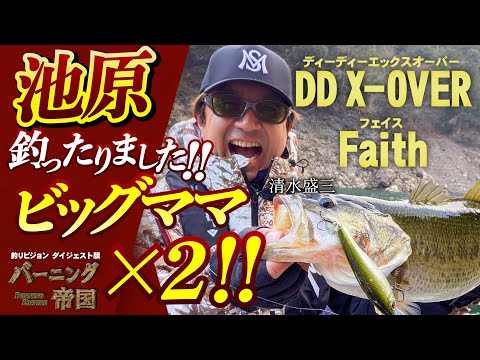 Vobler EverGreen DD X-Over 10cm 29.5g Bluegill Chart Berry F