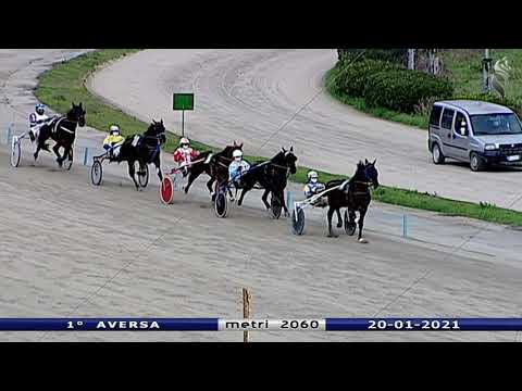 Aversa trotto 20 Gennaio 2021 - 1° Corsa