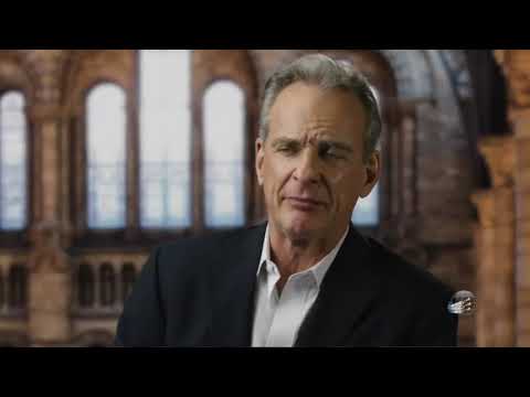 A chamada do Cosmos - O que o universo revela sobre Deus (Documentário)