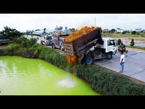 Dump Truck Unloads, Bulldozer Takes Control – Awesome! Full Video