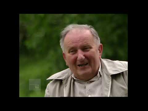 Pierwsi polscy więźniowie KL Auschwitz Zbigniew Damasiewicz