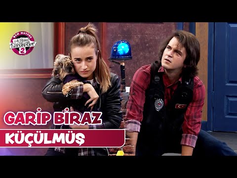 Garip Bile Bıktı Gitti (19.Bölüm) - Bitmez Sokaklar