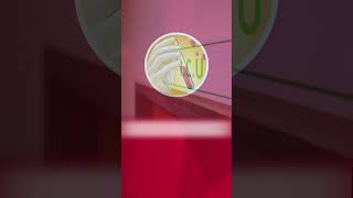 Download lagu Small-volume Blood Collection Tubes mp3 Download lagu Small-volume Blood Collection Tubes mp3