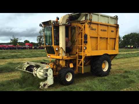 Silage Extravaganza Hesston Field Queen