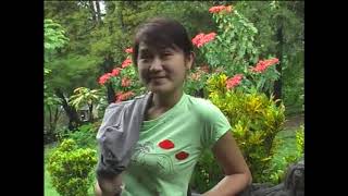 Download lagu ISPARADU | OLIS & NELA ANAPAH mp3