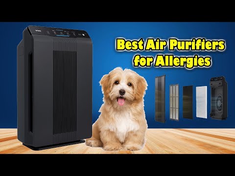 The best Air Purifier Winix 5500-2 : The Ultimate Air Purifier for Allergy Sufferers