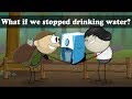 What If We Stopped Drinking Water Aumsum Kids Science Education Children