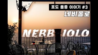 포도 품종 파헤치기 3탄. 이탈리아의 명품 와인, 바롤로와 바르바레스코를 만드는 네비올로에 대해서 알아보았습니다! ★ ALL ABOUT NEBBIOLO!