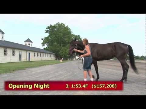 2011 Hambo Contender -- Opening Night